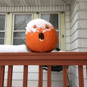 Meet your Posher, Carol